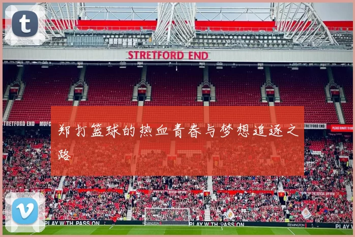 郑打篮球的热血青春与梦想追逐之路