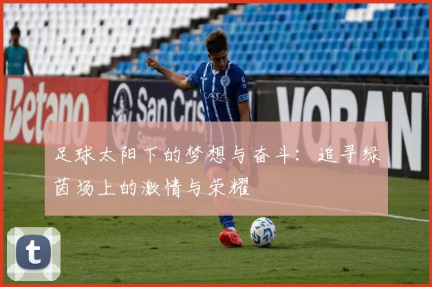 足球太阳下的梦想与奋斗：追寻绿茵场上的激情与荣耀