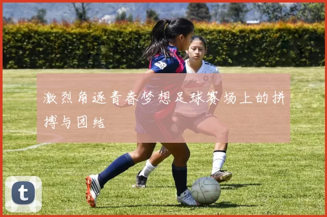 激烈角逐青春梦想足球赛场上的拼搏与团结